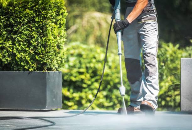 Best Pool Deck Cleaning in Wooster, AR