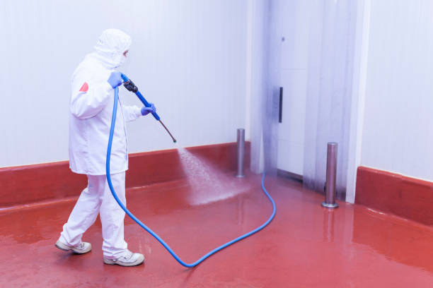 Best Commercial Pressure Washing in Wooster, AR